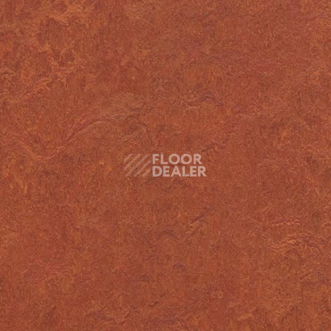 Линолеум Forbo Marmoleum Decibel on Order 320335 henna фото 1 | FLOORDEALER